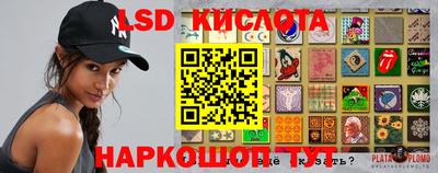 PSILOCYBIN Можайск