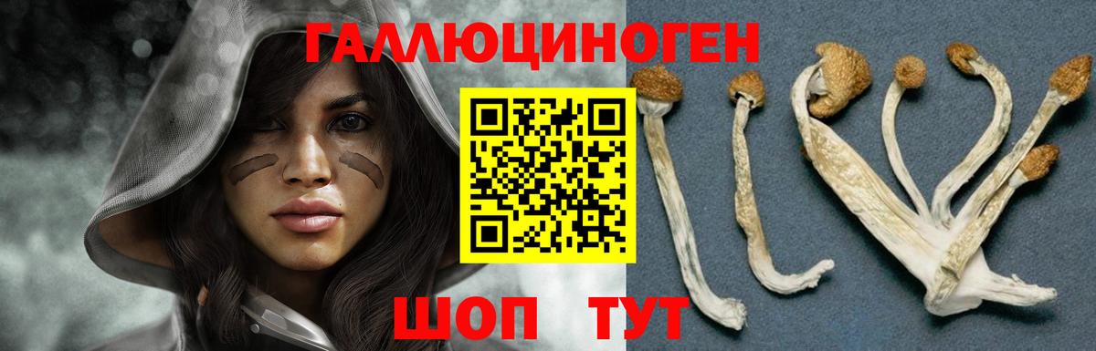 сколько стоит  Галлюциногенные грибы Cubensis  Вход с VPN  Жигулёвск 